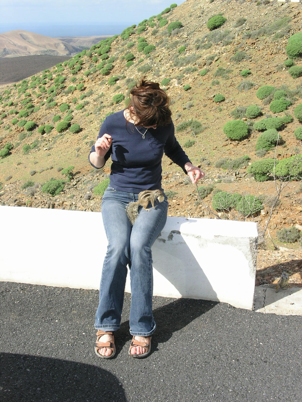 PICT1030.JPG