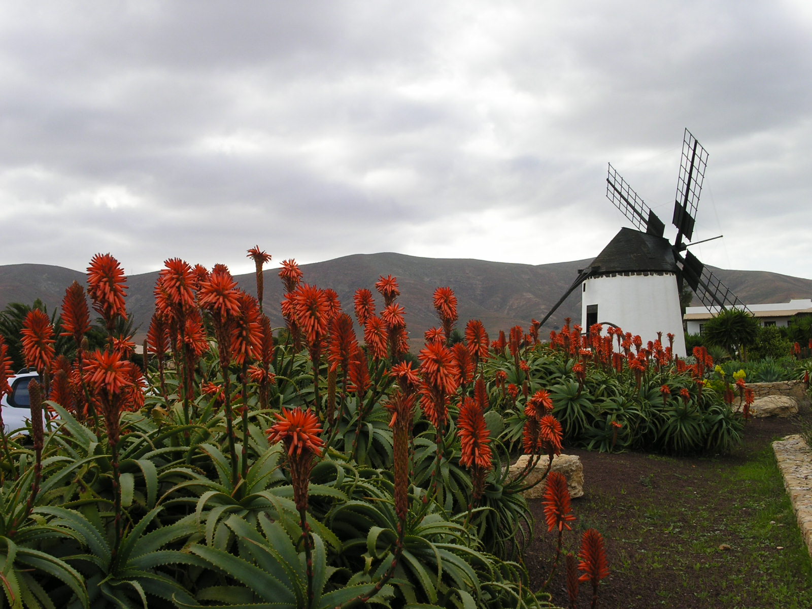 PICT1056.JPG